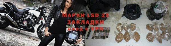 спиды Богданович