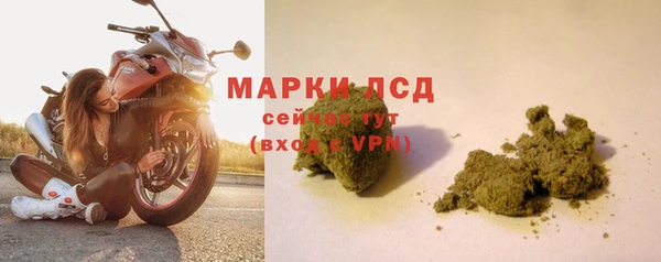 спиды Богданович