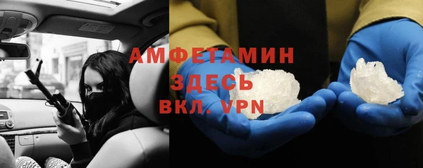 спиды Богданович