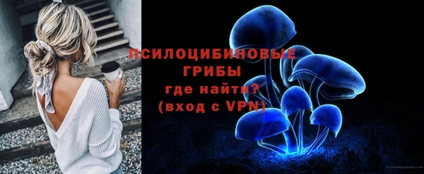 спиды Богданович