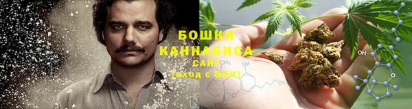 спиды Богданович