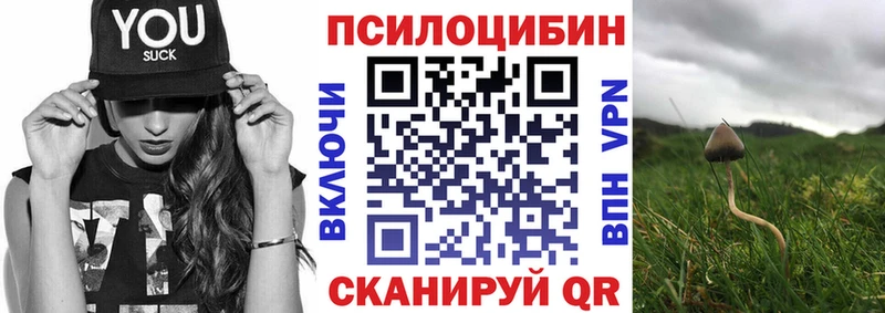 цена наркотик  kraken как войти  Галлюциногенные грибы Magic Shrooms  Белгород 